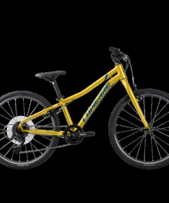 Vtt Lapierre Prorace 24